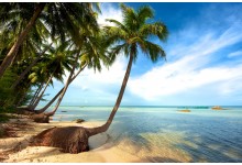 THE SOUTHERN RHYTHM & SUN-KISSED COASTLINE: AN 8-DAY IMMERSIVE EXPEDITION from only 485 USD/person only